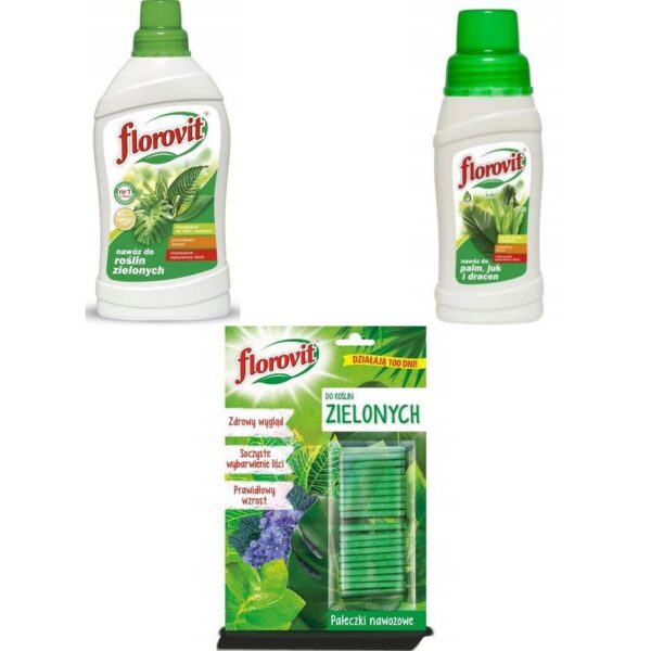 Zestaw Rośliny Domowe